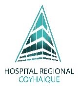 Capacitación Hospital Coyhaique Plataforma Moodle Local